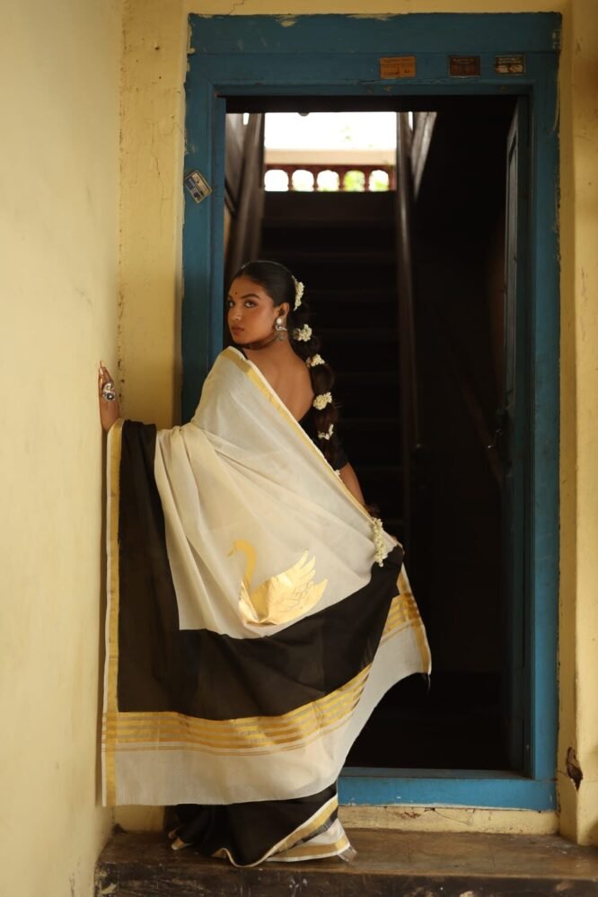 Hamsa The Golden Swan - Image 7